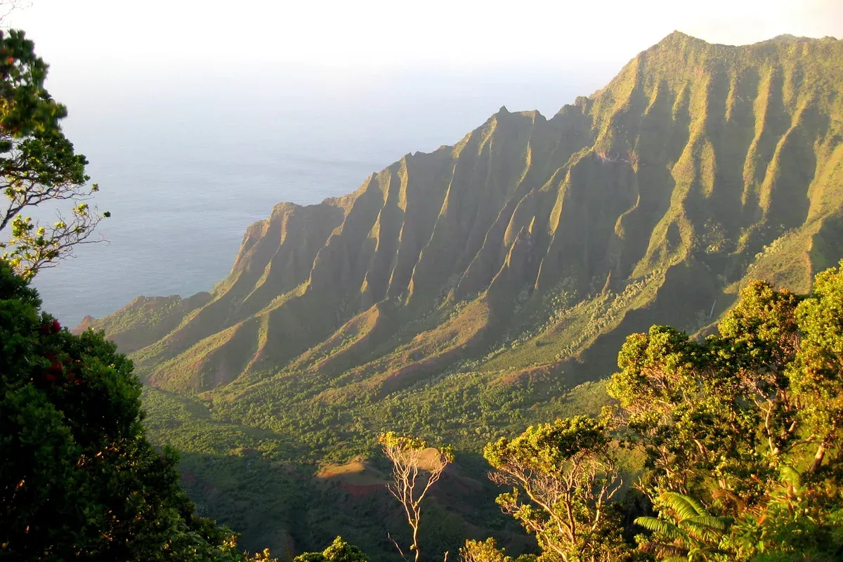 Kalalau Valley and green Na Pali Coast ridges from the Kokee overlook on Kauai