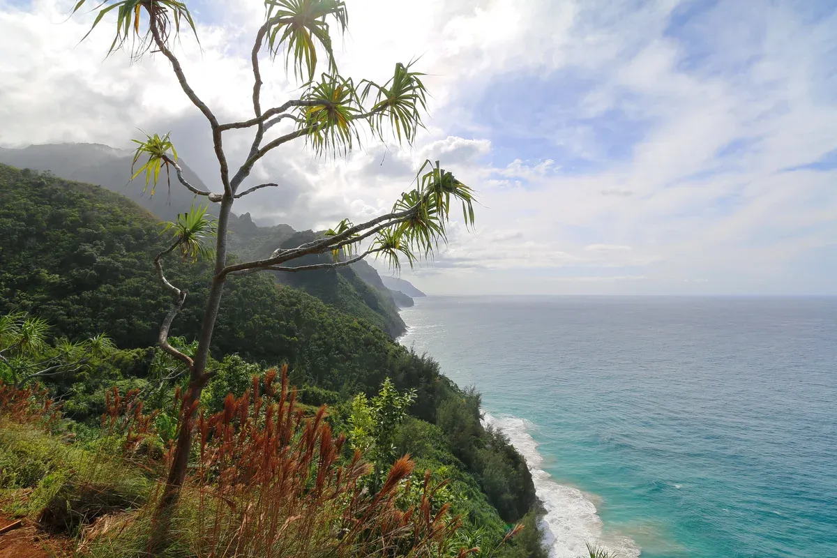 View down the Napali Coast from the Kalalau Trail on Kauai, the hike behind Napali Coast boat tours